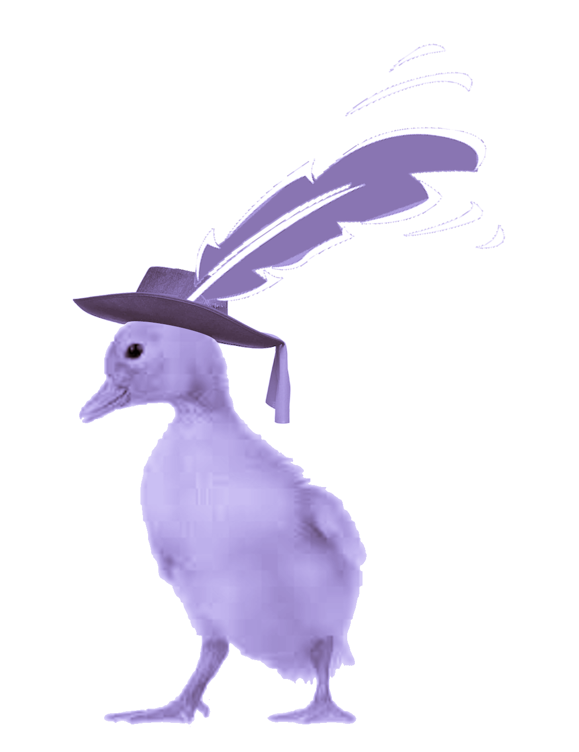 Image od little Feather Duck